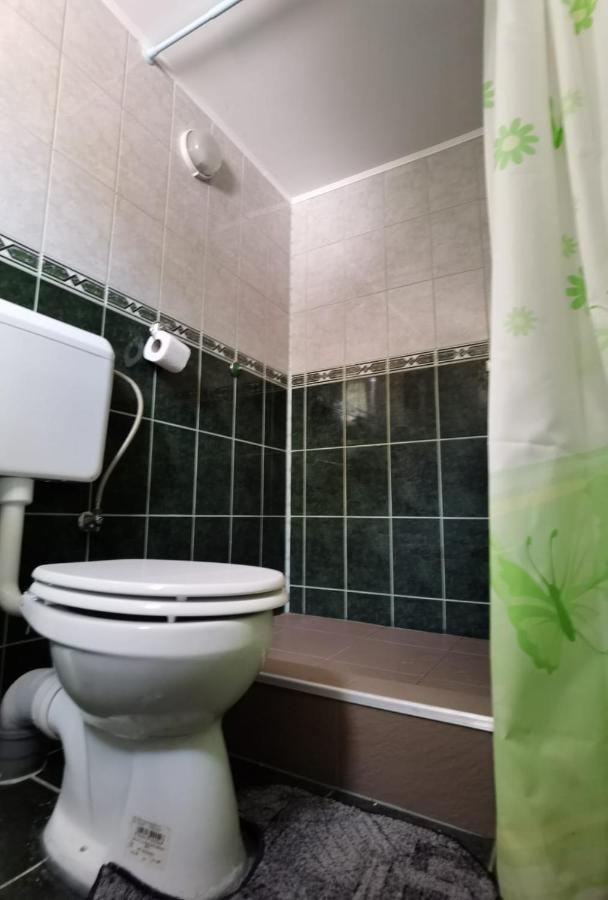 Hotel Casa Dobrin à Arefu Extérieur photo
