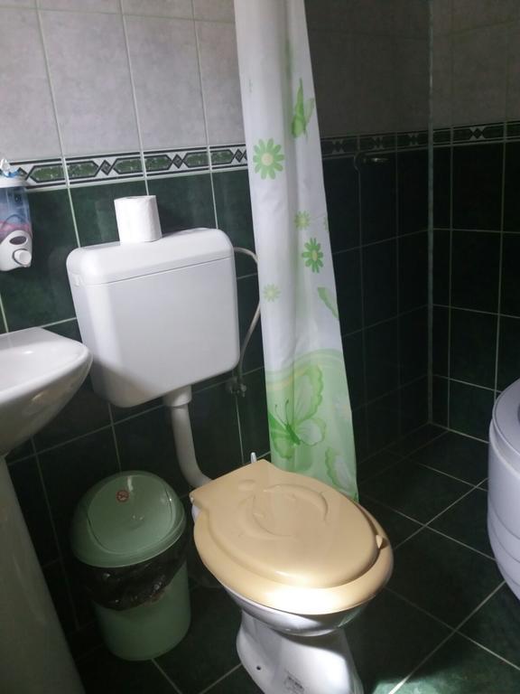 Hotel Casa Dobrin à Arefu Extérieur photo