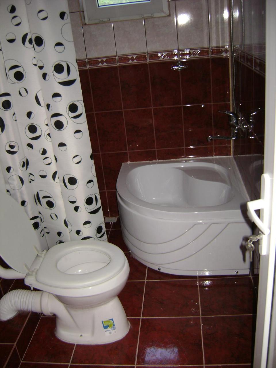 Hotel Casa Dobrin à Arefu Extérieur photo